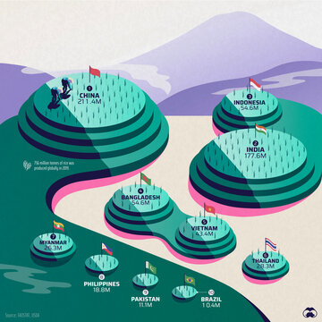 World's biggest rice producers, illustration