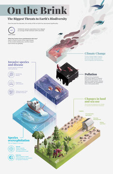 Biodiversity threats, illustration