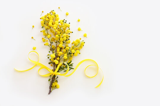 Top view image of spring yellow mimosa flowers composition over white isolated background