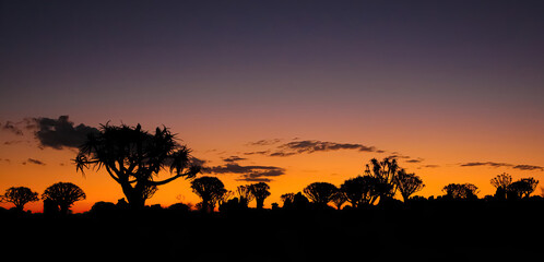 Sunset in the Landscape of Namibia Africa