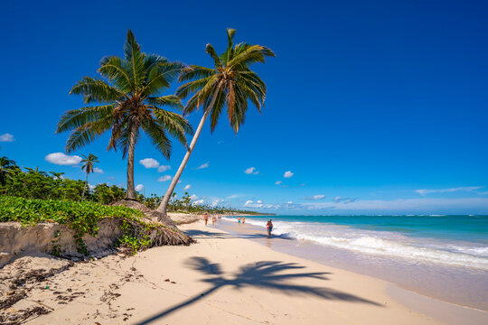 View of palm trees and sea at Bavaro Beach, Punta Cana