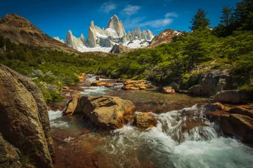 Papier Peint photo Fitz Roy Mount Fitz Roy Landscape, Summer in Patagonia, Green Scenic Field with Snowy Mountain Peak, Natural Geography of El Chalten, Argentina