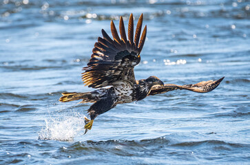 Catch of the day.
