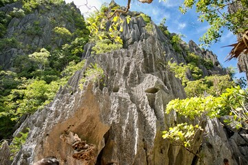 A majestic rock in Coron, Palawan in the Philippines that is covered with shrubs with a bright blue sky.