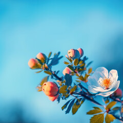 Obraz na płótnie Canvas Blooming rose bush. Natural floral spring background. generative ai spring floral wallpaper. Soft selective focus on rose blossoms