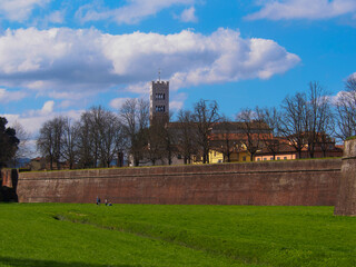 Fototapeta na wymiar Italia, Toscana, la città di Lucca. il campanile del duomo.
