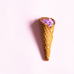 Wafer cone with tulips on a pink background. Flower ice cream, spring concept with first flowers.