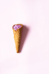 Wafer cone with tulips on a pink background. Flower ice cream, spring concept with first flowers.