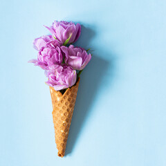 Wafer cone with tulips on a blue background. Flower ice cream, spring concept with first flowers.