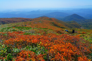 神の絨毯　日本一美しい紅葉　栗駒山　東北観光10月