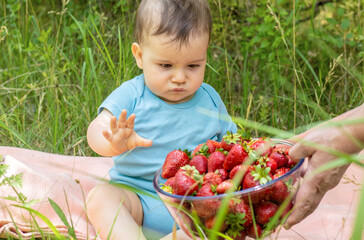 adorable baby in front of many strawberry in a glass bowl outside in green grass on picnic blanket.funny serios angry toddler infant face want to take with hand one fruit summer fresh vitamin cocktail