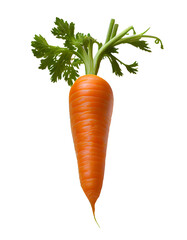 carrots with leaves