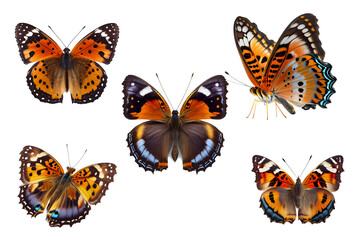 Fototapeta na wymiar set of butterflies on a transparent background. generative AI