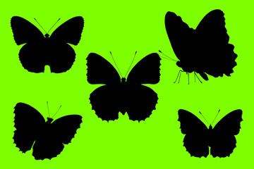 set of butterflies silhouettes