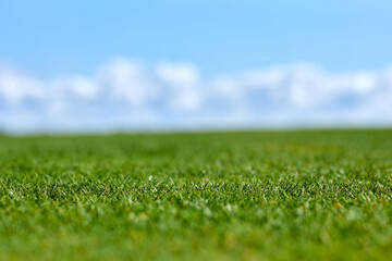 Close up background image of green grass golf field with blue sky, tilt shift effect
