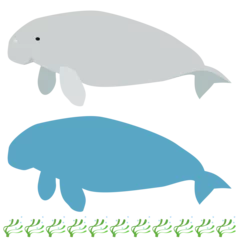 Foto op Plexiglas Cartoon-style dugong and dugong silhouette and eelgrass bed border decoration set © piyo piyo　