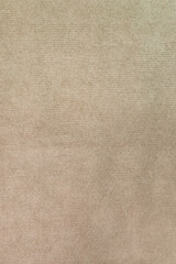 Texture of laid brownish recycled paper in vertical format