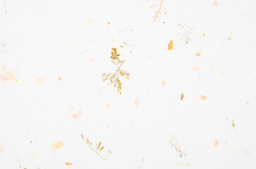 The Mulberry paper texture as background