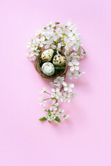 quail eggs in nest and cherry flowers on abstract pink background. symbol of Easter holiday, Ostara. spring festive decor. flat lay. copy space. template for design