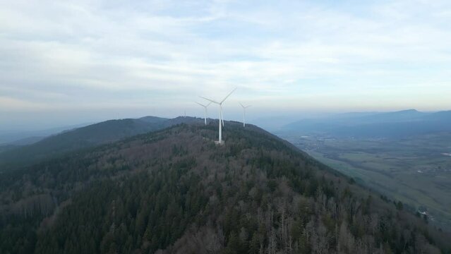 Vue a&eacute;rienne sur un parc &eacute;olien avec des sapins et ciel bleu un peu couvert