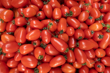 Plenty of fresh cherry tomatoes