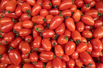 Plenty of fresh cherry tomatoes