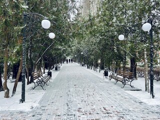 winter park at freezing cold day. Walking path in city park with bare trees covered with white snow. Wintry landscape
