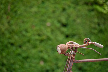 Old decay bicycle on green vine climbing garden wall outdoor. Rust Classic bike old bicycle on green garden wall retro style. Vine plant green leaves partition background.