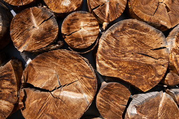 Sawn tree wooden wall