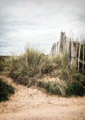 Picket fence and sand dunes on the seafront at Dawlish Warren, Devon