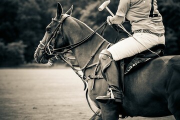 Grayscale of a male polo player on a horse