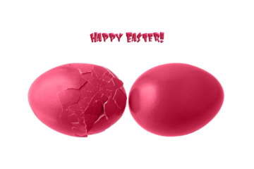 Cracked and whole painted natural chicken easter eggs in trendy color 2023 Viva Magenta isolated on white background.