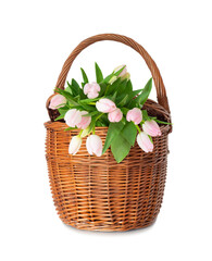 Bouquet of pink tulips in a basket - 583944089