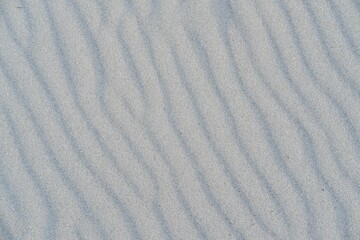 Closeup shot of details on brown sand dunes