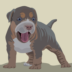 Cute puppy dog American bully breed. Vector illustration