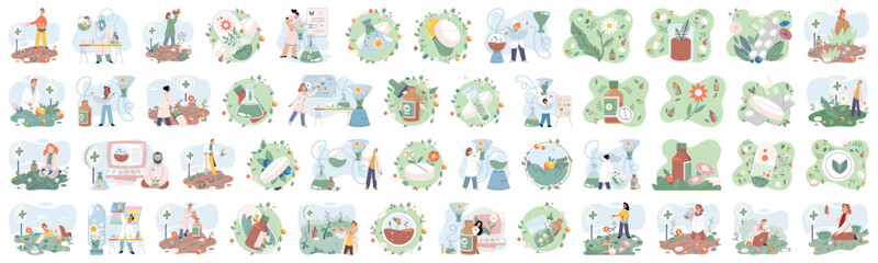 Fototapeta premium Doctor checking medicinal herbs. Natural herbal medicine selection. Scientist with natural drug research, Green herbal medicine discovery science lab. Scientist doctor making alternative medicine herb