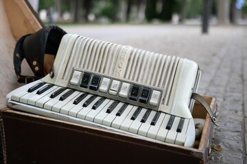 Closeup of accordion musical instrument