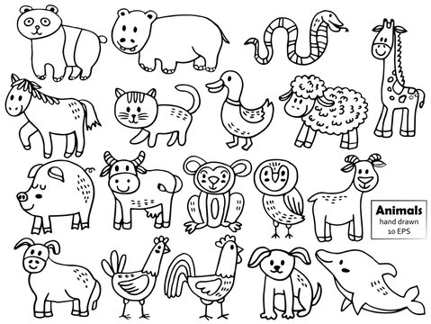 Wild animals cartoon jungle, farm and sea creatures set. Black and white graphic vector illustration in the line style