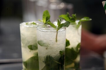 Closeup shot of summer cocktails made from lemon