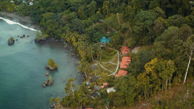 Pacific Coast With Rainforest