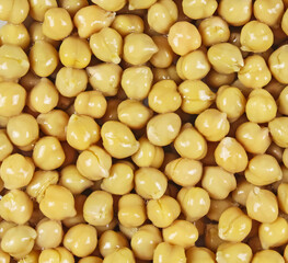 Full frame closeup of many pickled canned yellow chickpeas for seamless background