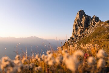 Beautiful sunset over Pierre Avoi mountain and a carpet of flowers in Saxon, Switzerland
