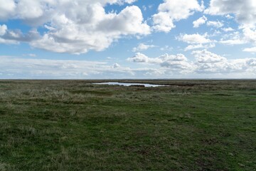 Scenic view of a beautiful landscape with meadows and a pond found in Schiermonnikoog, Netherlands