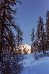 A la montagne 