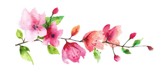 Watercolor flower. Flower branch with pink buds and green leaves on a white background