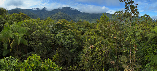 View from the upper station of Teleferico in Minjoy Park in Mindo, Ecuador, South America
