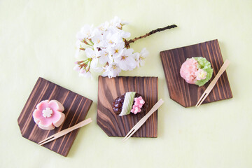 春の和菓子　練り切りと桜の小枝（染井吉野）