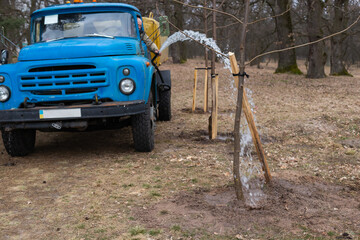 Watering freshly planted trees in old park. Front view.