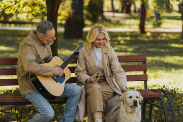 Fototapeta premium Smiling woman petting labrador while husband playing acoustic guitar in park.