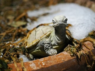 Closeup of a turtle figure on a flower pot